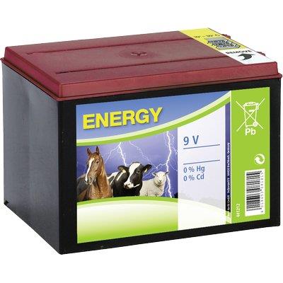 Batteria Elettrorecinzione Kerbl