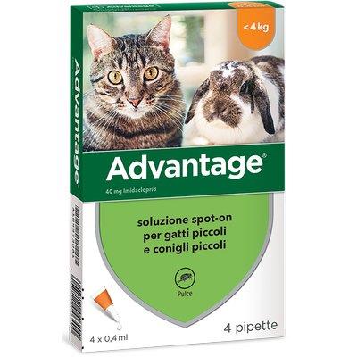 Antiparassitario Advantage Gatti Elanco